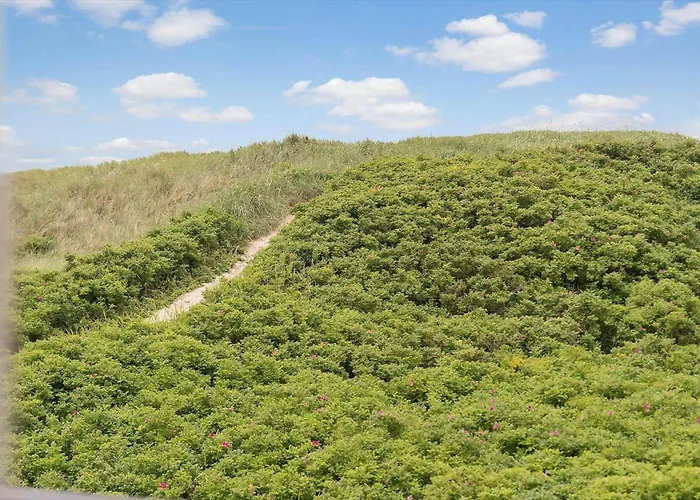 333-harboore-fourmivej-78